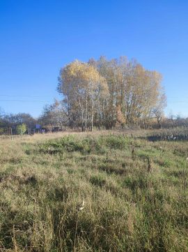 Eladó Telek 2723 Nyáregyháza , Nyáregyházán 2974 m2  belterületi telek eladó