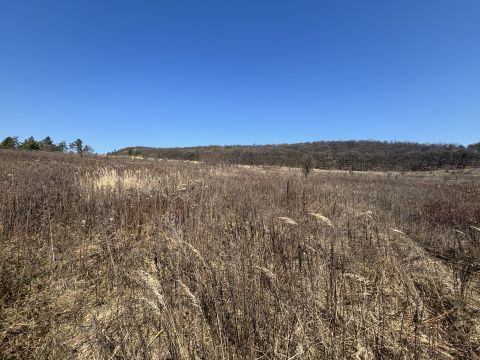 Eladó Telek 2097 Pilisborosjenő Malomdűlő