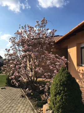 Eladó Ház 3200 Gyöngyös , Kertvárosi övezetben, felső kategóriás,egy szintes ház eladó