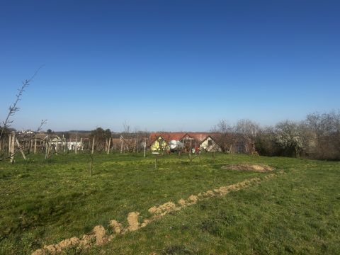 Eladó Telek 7773 Villány , Villányban központi helyen kiváló befektetési telek eladó