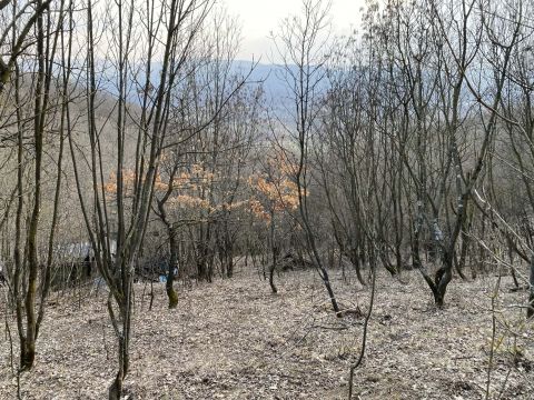 Eladó Telek 2621 Verőce 