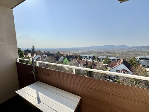 Eladó Lakás 2000 Szentendre 