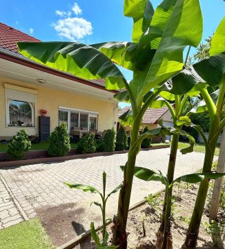 Eladó Ház 6500 Baja Nagy Lajos király utca