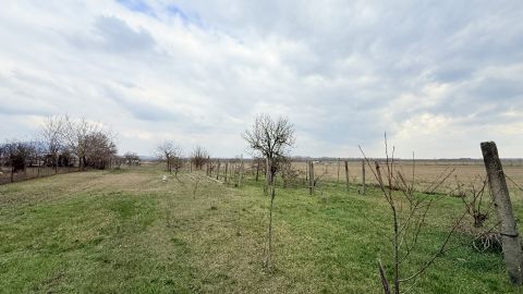 Eladó Telek 2021 Tahitótfalu 