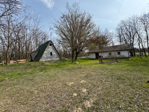 Eladó Ház 6050 Lajosmizse , Mizse tanya