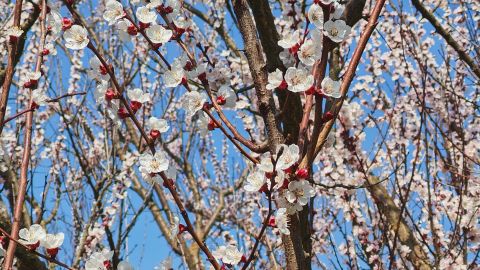 Eladó Ház 2051 Biatorbágy 