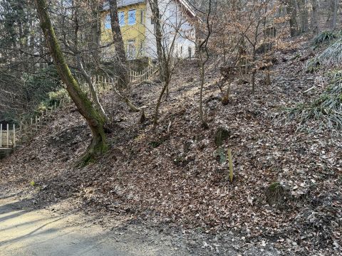 Eladó Telek 9726 Velem , Kossuth Lajos utca közelében