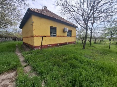 Eladó Ház 6100 Kiskunfélegyháza , Összkomfortos tanya 7 ezer m2 területtel