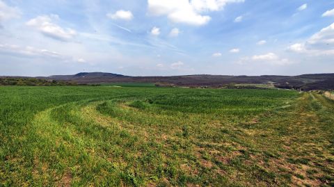 Eladó Telek 2064 Csabdi , Külterületi, tanyagazdaságnak alkalmas