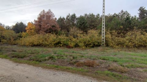 Eladó Telek 6076 Ágasegyháza 