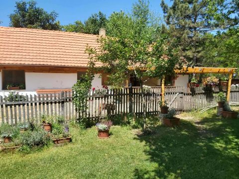 Eladó Ház 6050 Lajosmizse , , Ladánybenei útról megközelíthető tanya