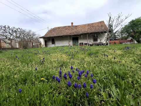 Eladó Ház 6080 Szabadszállás 