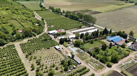 Kiadó Mezőgazdasági 3630 Putnok , Fehér Tanya 2.