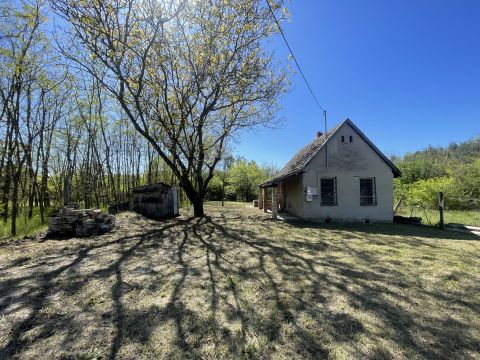 Eladó Mezőgazdasági 6500 Baja 