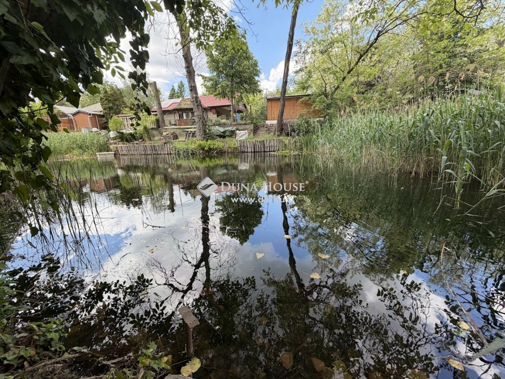 2336 Dunavarsány , Vízpart csend és nyugalom ! — 1/28
