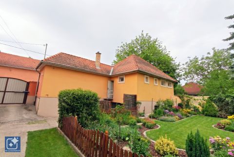 Eladó Lakás 2072 Zsámbék Frekventált, központi helyen