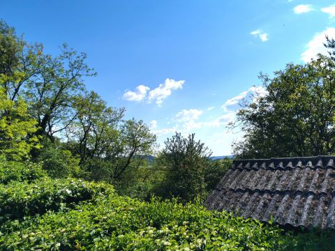 Eladó Telek 2092 Budakeszi , Erdő mellet közvetlenül