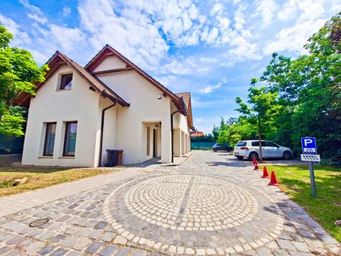 Kiadó Üzlethelyiség 2209 Péteri 