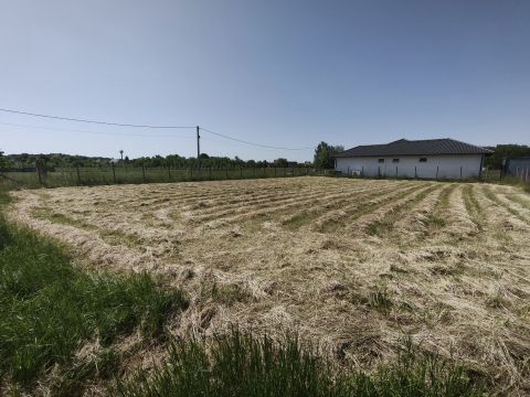 Eladó Telek 2457 Adony , Adony - Fürj utcában, 900 m2-es építési telek eladó!