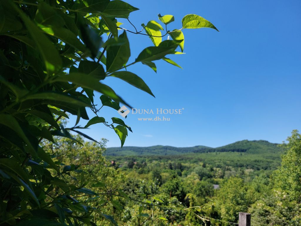 2643 Diósjenő — 1/13