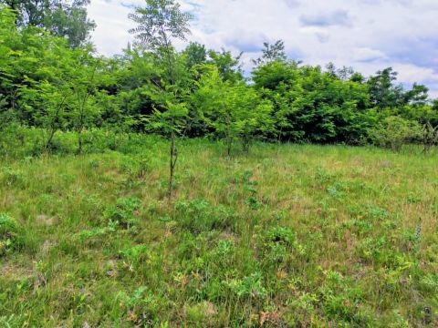 Eladó Telek 2213 Monorierdő , belterületi telek monorierdőn