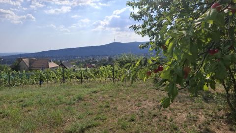 Eladó Telek 7628 Pécs 