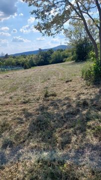 Eladó Telek 7628 Pécs Pécs - Szabolcsfalu szőlőhegy