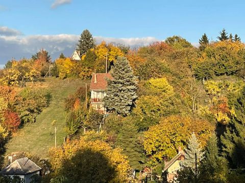 Eladó Ház 2840 Oroszlány , Panorámás zártkerti házikó