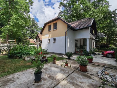Eladó Ház 5624 Doboz , Szanazug
