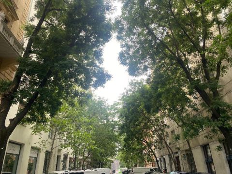 Eladó Lakás 1055 Budapest 5. kerület 1055 Budapest 5, Belváros