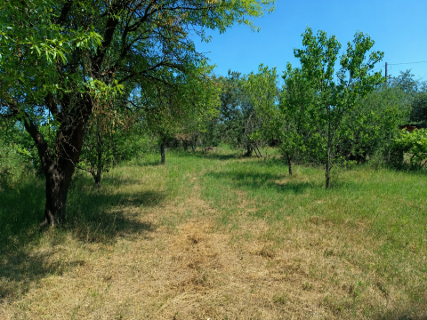 Land, 846 m²