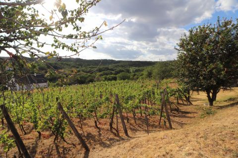 Eladó Telek 8096 Sukoró Panorámás építési telek