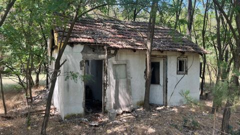 Eladó Mezőgazdasági 6034 Helvécia , Helvécián helyezkedő tanya eladó