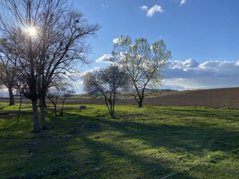 Eladó Telek 3942 Sárazsadány , 17000m2, belterületi, beépítésre, vagy pl. napelemparknak