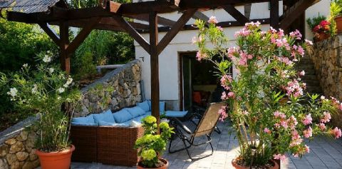 Eladó Ház 2836 Baj , 2836 Baj, Turay Családi Pincészet