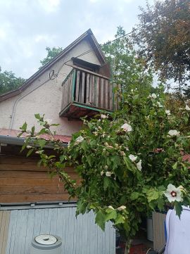 Eladó Ház 2051 Biatorbágy 