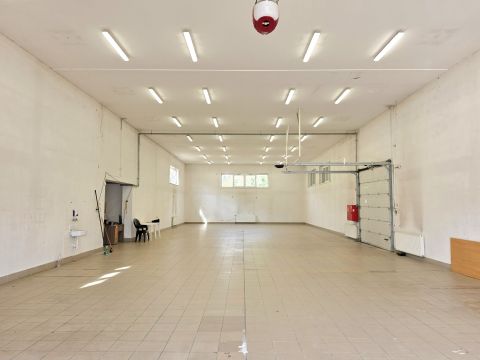 Kiadó Tároló/Raktár 7634 Pécs , Patacson 314 nm-es raktár/üzem kiadó