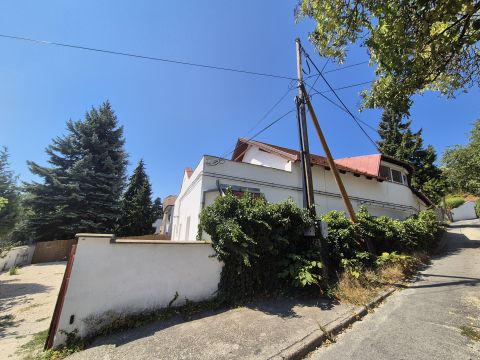 Eladó Lakás 7625 Pécs 'Frissen felújított kiskertes fszti lakás a Pálosoknál!