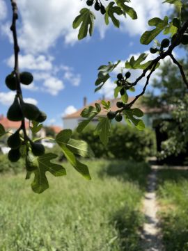 Eladó Ház 9400 Sopron Ravazd utcai lakóparknál családi ház eladó!