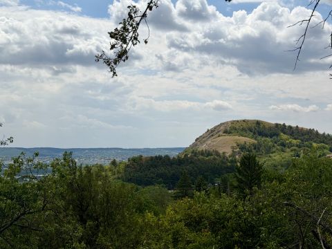 Eladó Telek 2040 Budaörs , Frankhegy