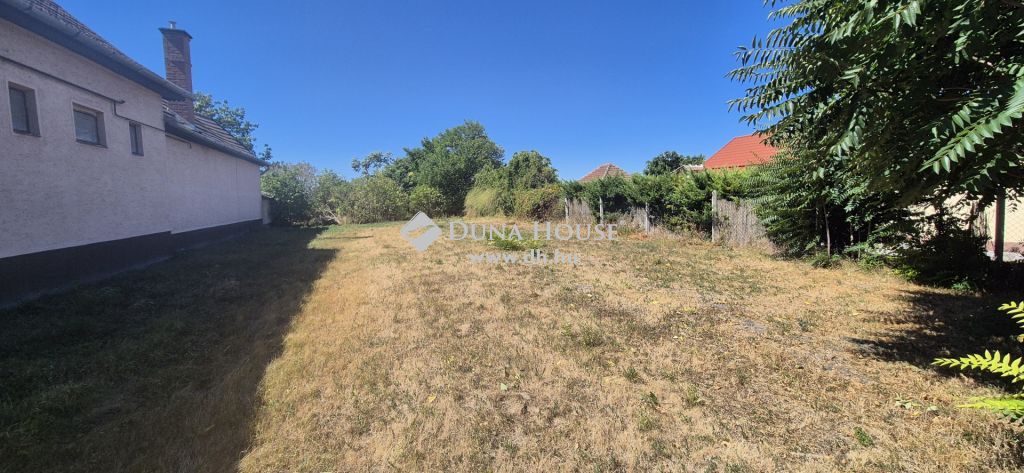 3386 Sarud — 1/2