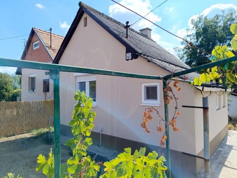 Kiadó Ház 6000 Kecskemét Felsőszéktóban kiadó 1 szobás ház kisállattal is!