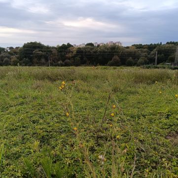 Eladó Telek 8800 Nagykanizsa 
