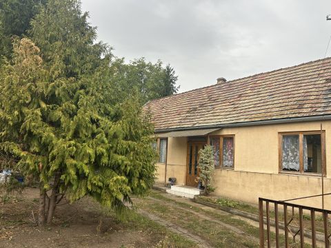 Eladó Ház 8086 Felcsút 