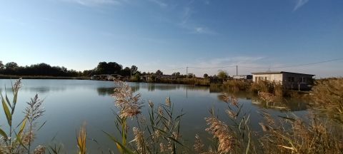 Eladó Telek 6221 Akasztó 