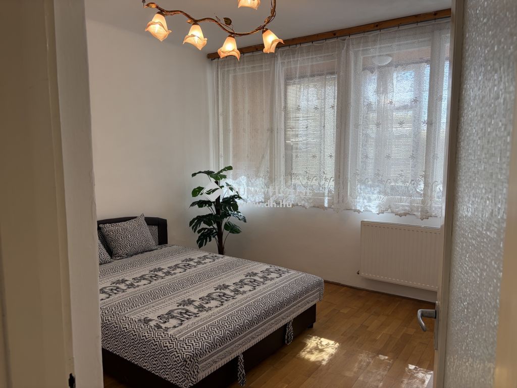 6000 Kecskemét , Műkertváros — 1/19
