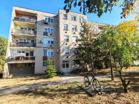 Eladó Lakás 5600 Békéscsaba , Szabó Pál téren